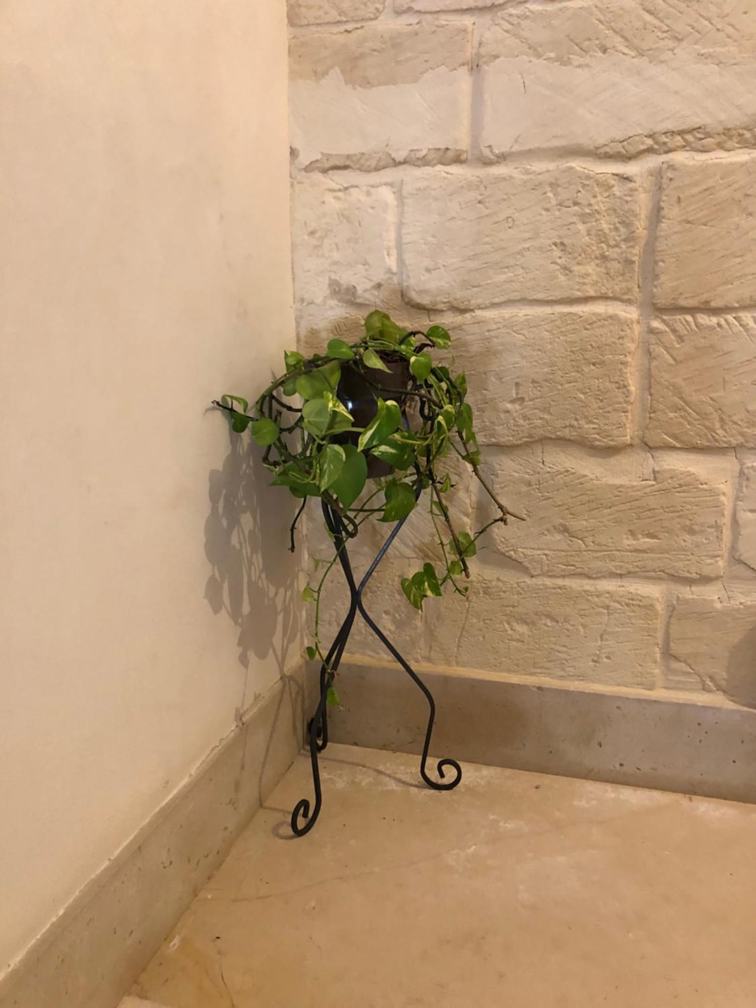 Mayu'S House , Dimora Nel Centro Storico Di Lecce Ngoại thất bức ảnh